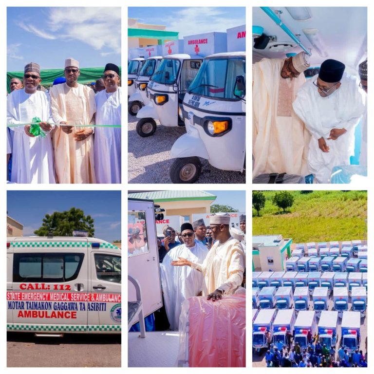 Katsina all